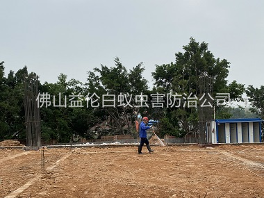 順德地基新建預(yù)防白蟻工程